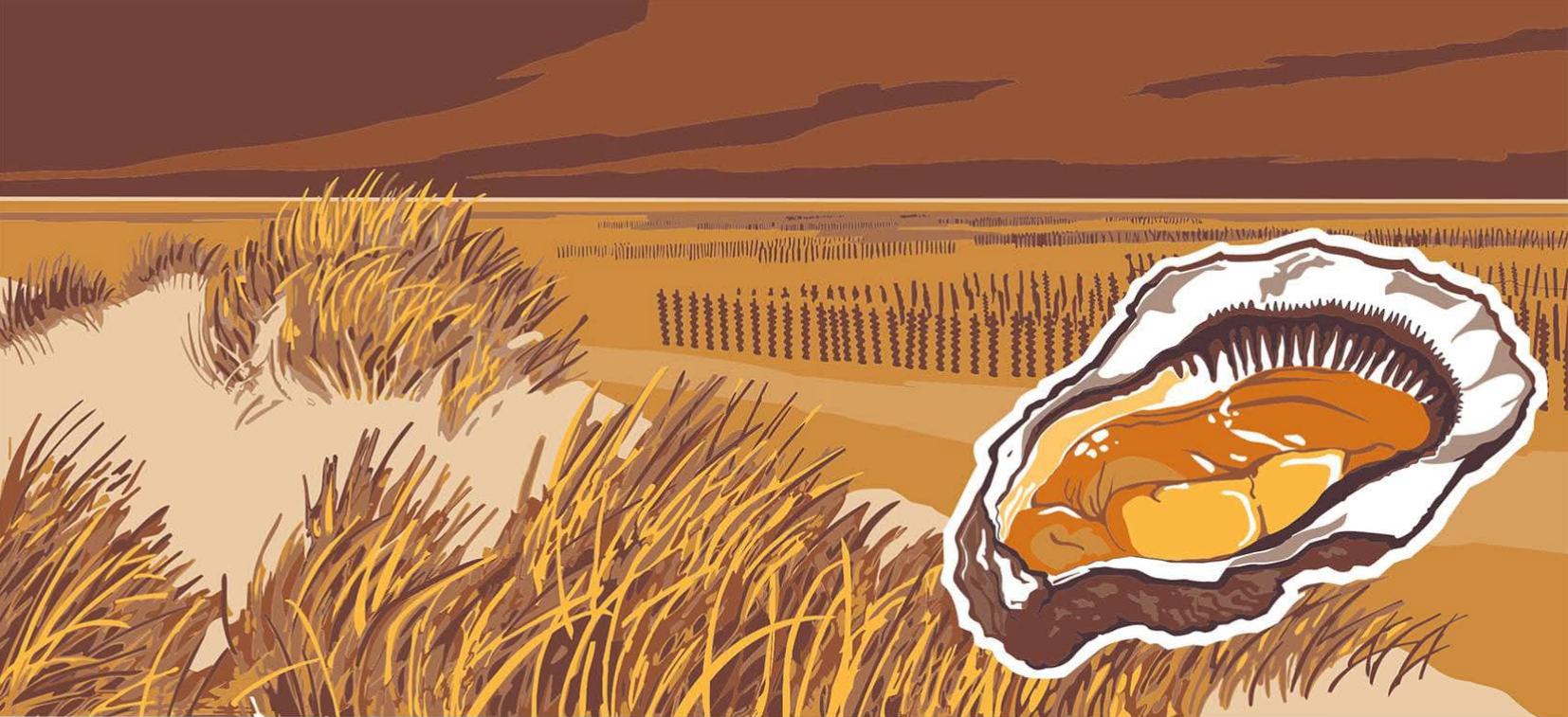 Photo du panneau : le littoral du Cotentin